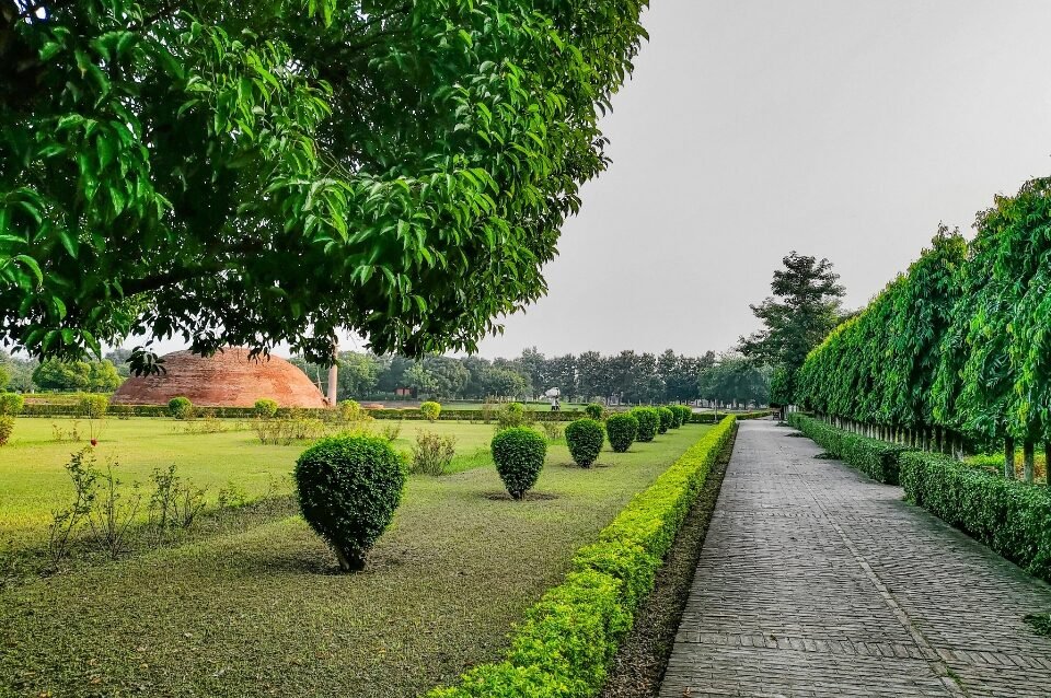 GreenLeaf Landscaping