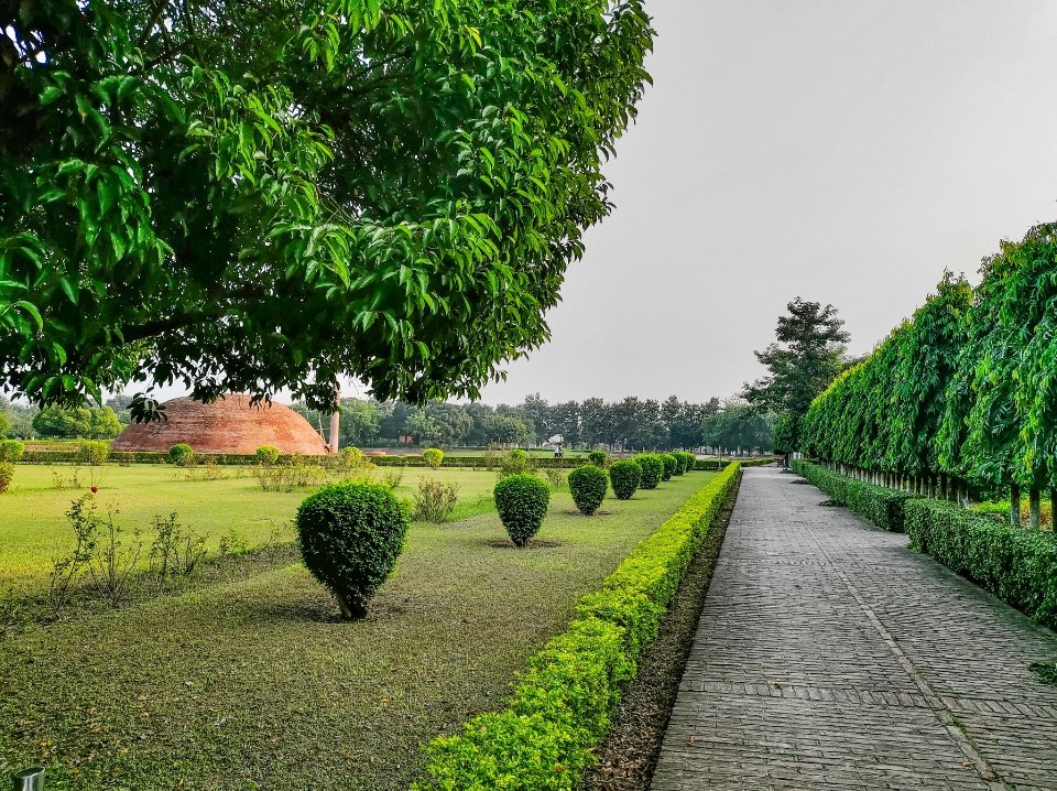 GreenLeaf Landscaping